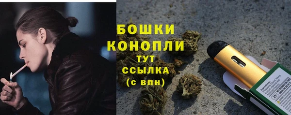 дживик Дмитриев